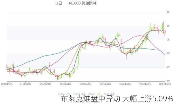 布鲁林克斯股价震荡揭秘，异动背后的原因分析与骤降5.08%的深层原因探讨