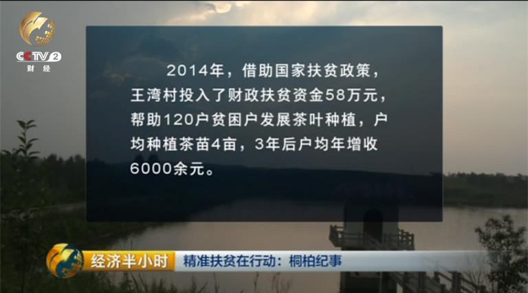 澳门精准正版资料免费看，真实数据解释落实_战略版37.82.64